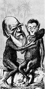 Caricatura de Darwin