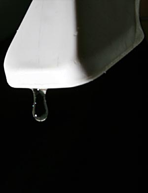Gota