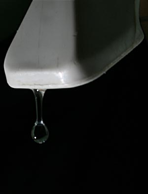 Gota