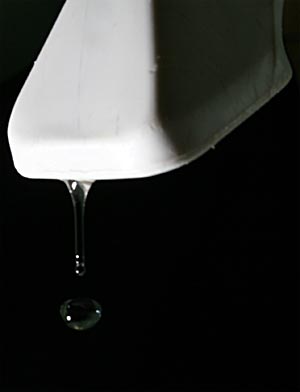 Gota