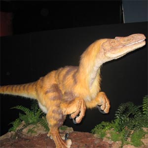 Velociraptor de peluche