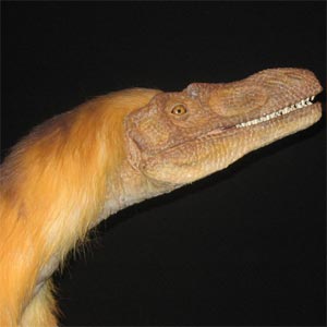 Melena de Velociraptor al viento